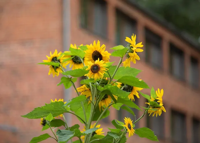 Umwelt Bildungszentrum Berlin